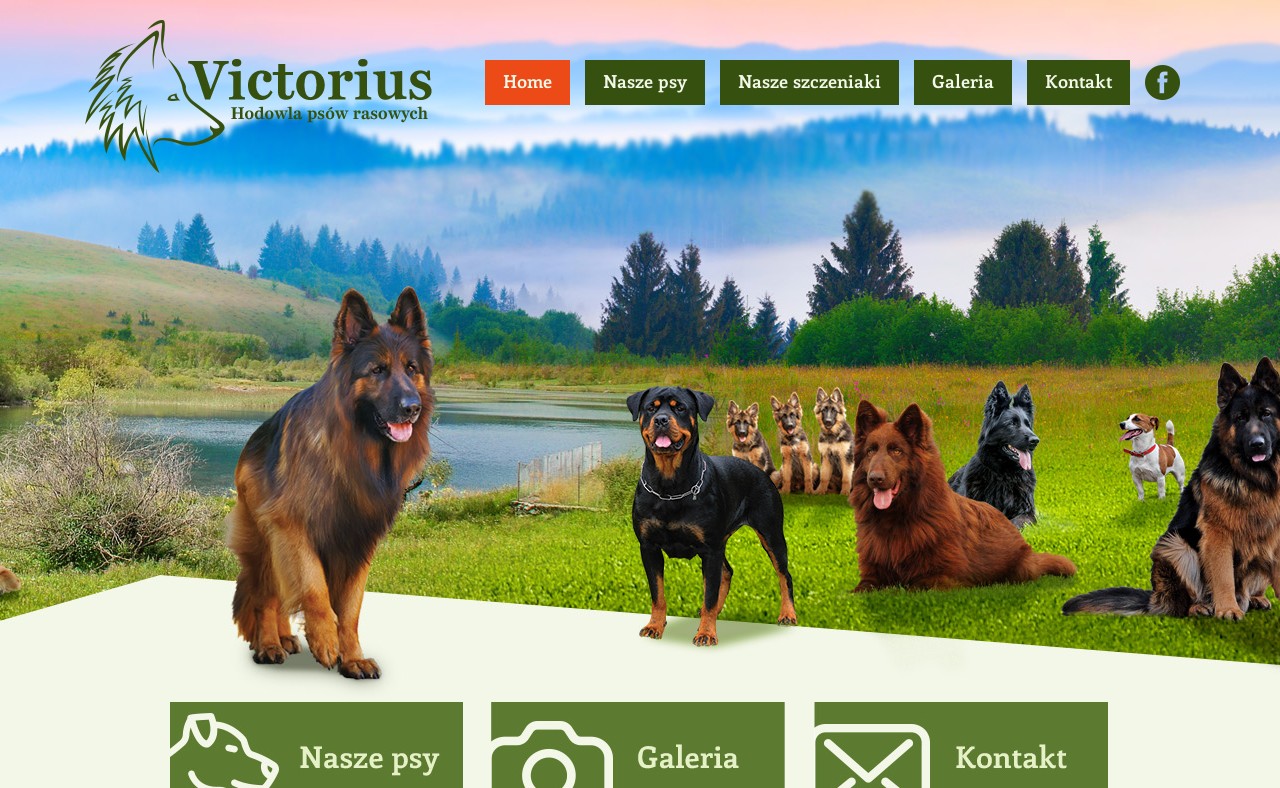 Hodowla Psów Rasowych Victorius